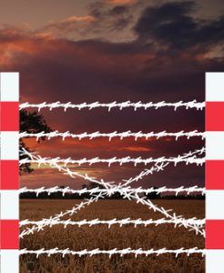 barbed-wire-fence1